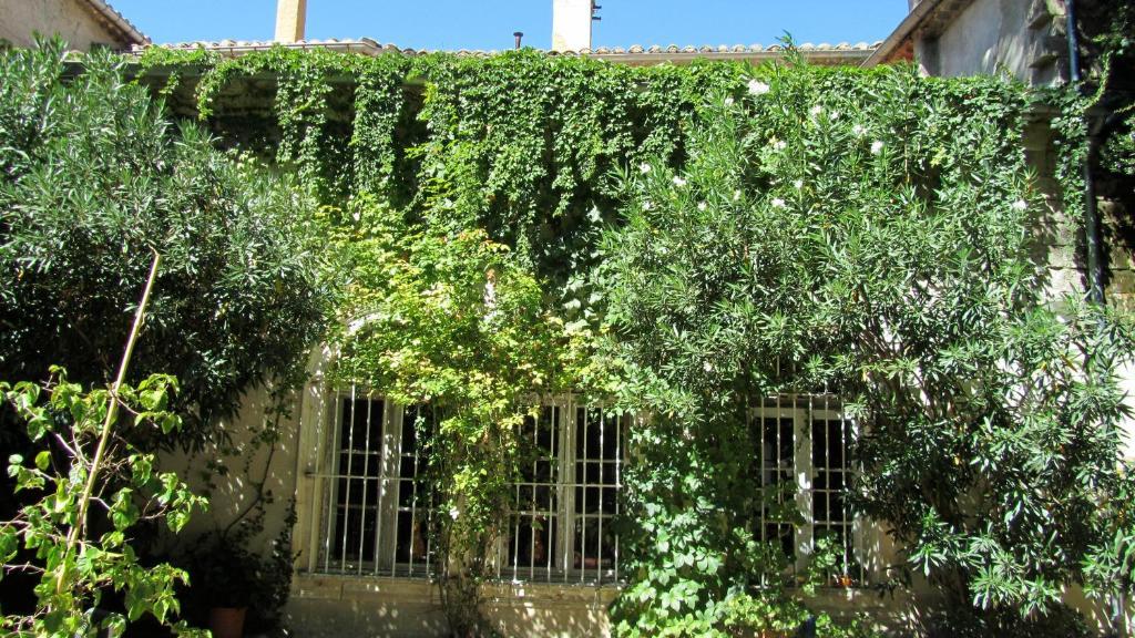 Maison D'Hotes La Boca Sommières 객실 사진